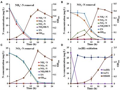 Simultaneous removal of nitrogen and arsenite by heterotrophic nitrification and aerobic denitrification bacterium Hydrogenophaga sp. H7